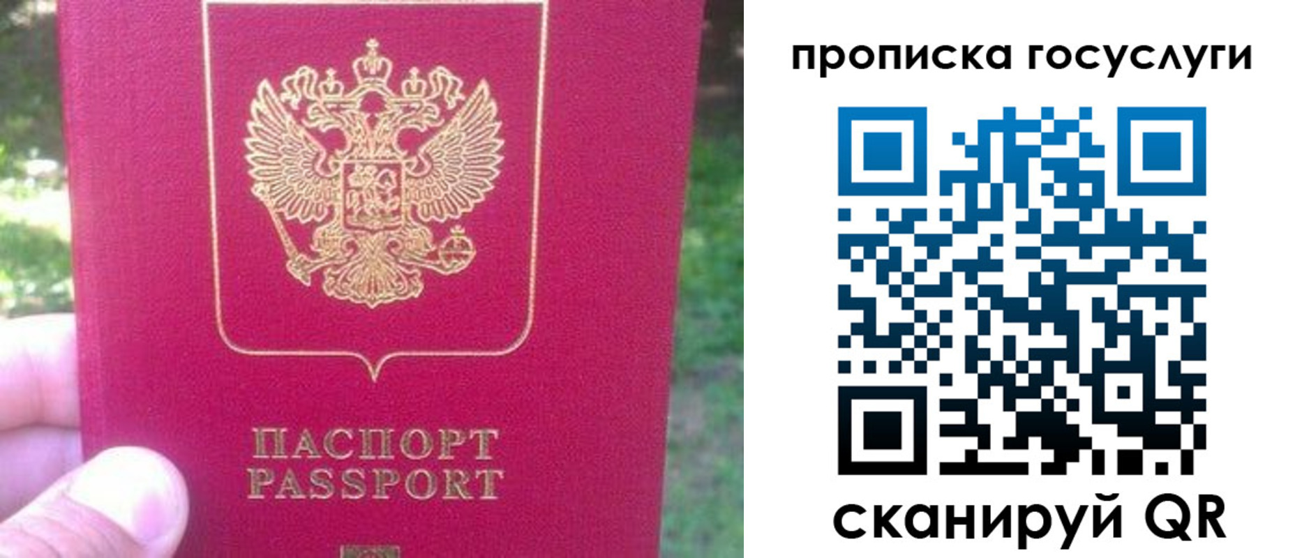временная регистрация собственник в Гусеве